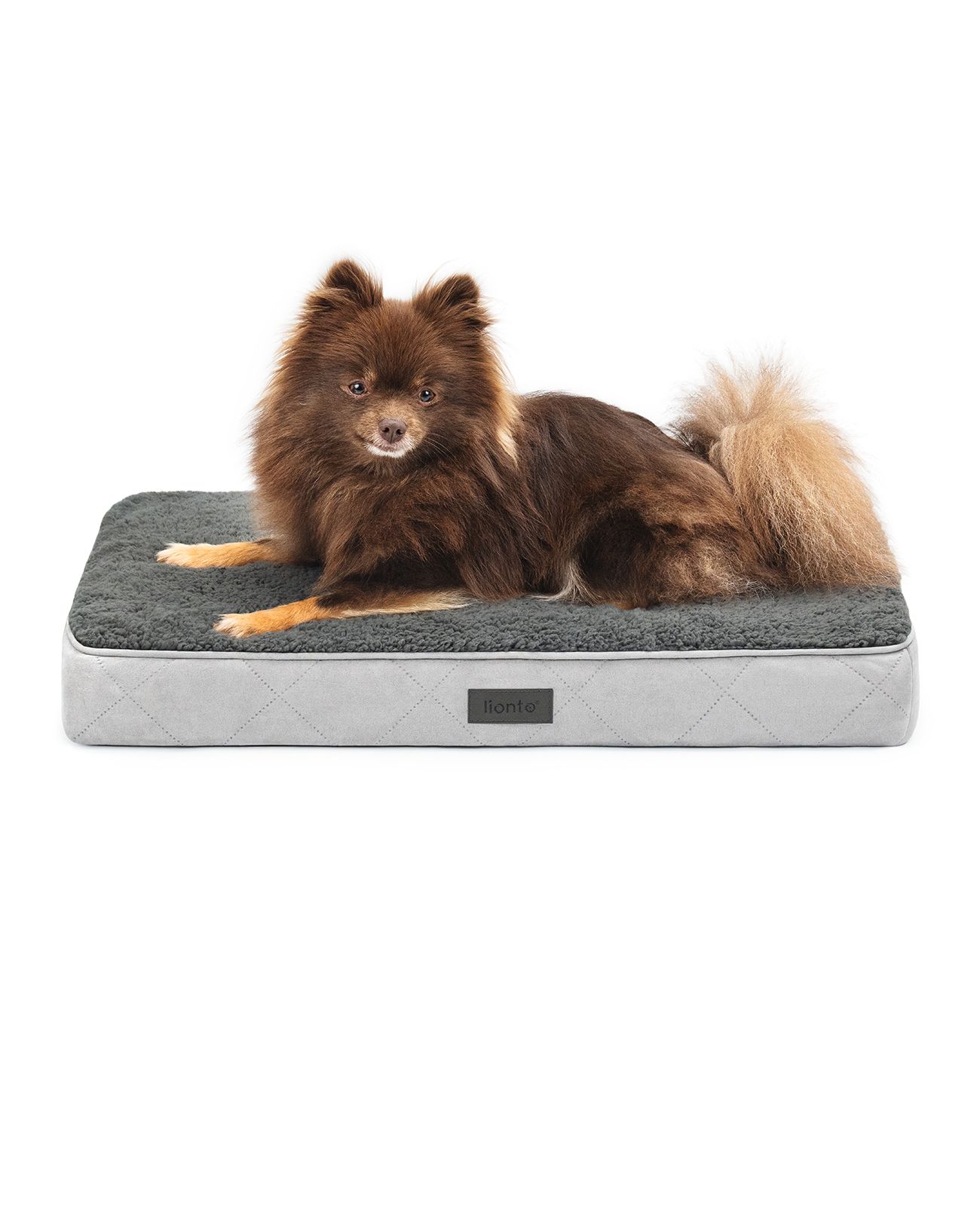 lionto orthopädisches Hundebett