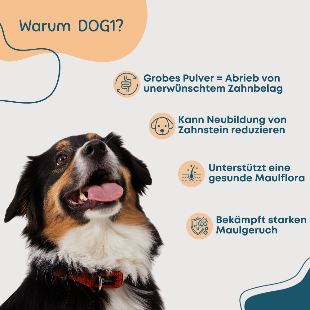 Hund blickt nach oben. Text: 'Warum DOG1?' und Vorteile: Zahnbelag-Abrieb, Reduzierung Zahnstein, gesunde Maulflora, bekämpft Mundgeruch.