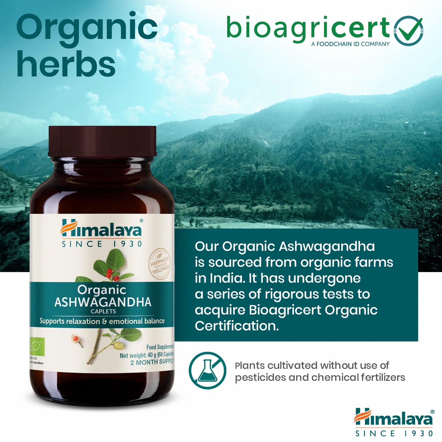 Flasche mit Kapseln, Berge im Hintergrund. Text: Himalaya Organic Ashwagandha.