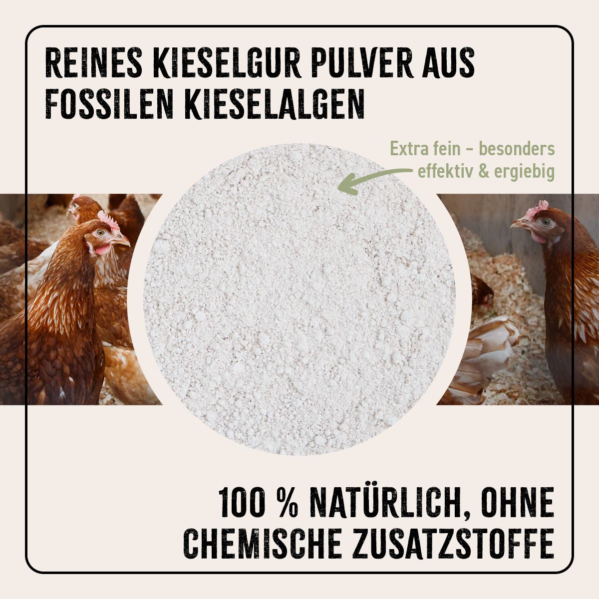 AniForte Kieselgur Pulver (ehem. Milben-STOP Puder) inkl. Stäuberflasche