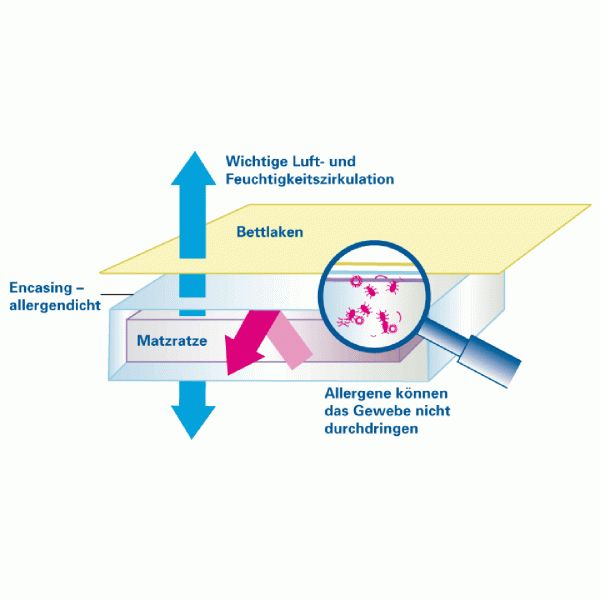 Schematische Darstellung eines Bettes mit Matratze und Bettlaken. Pfeile zeigen Luftzirkulation. Vergrößerung zeigt Allergene.