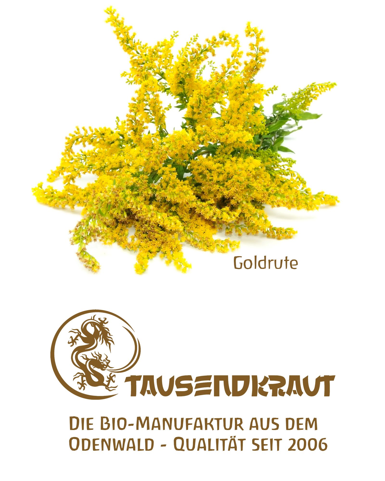 Tausendkraut Goldruten Tee BIO