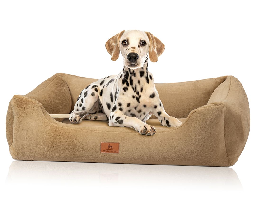 Knuffelwuff orthopädisches Hundebett Schnuffelupagus