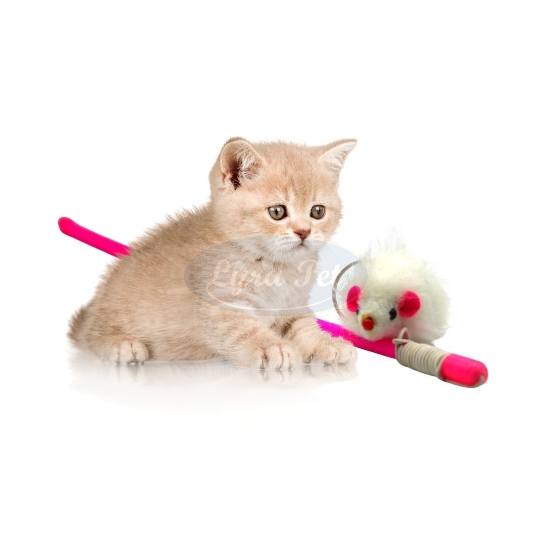 Kätzchen neben Angel mit weißer Maus. Rosa Stab, Maus mit roter Nase. Lyra Pet Logo.