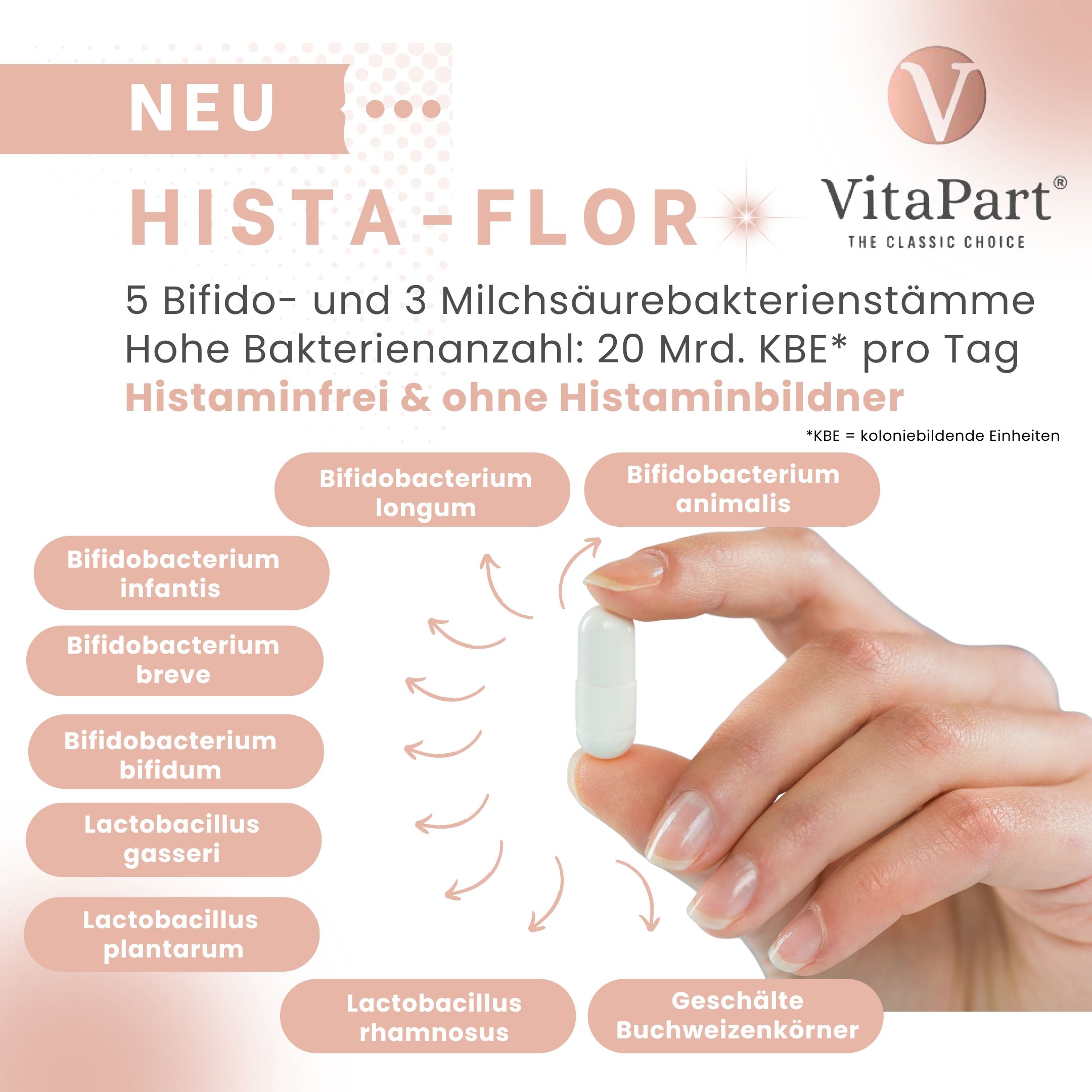 Hand hält Kapsel. Infografik: 5 Bifido- und 3 Milchsäurebakterienstämme. Hohe Bakterienanzahl: 20 Mrd. KBE pro Tag. Histaminfrei & ohne Histaminbildner.