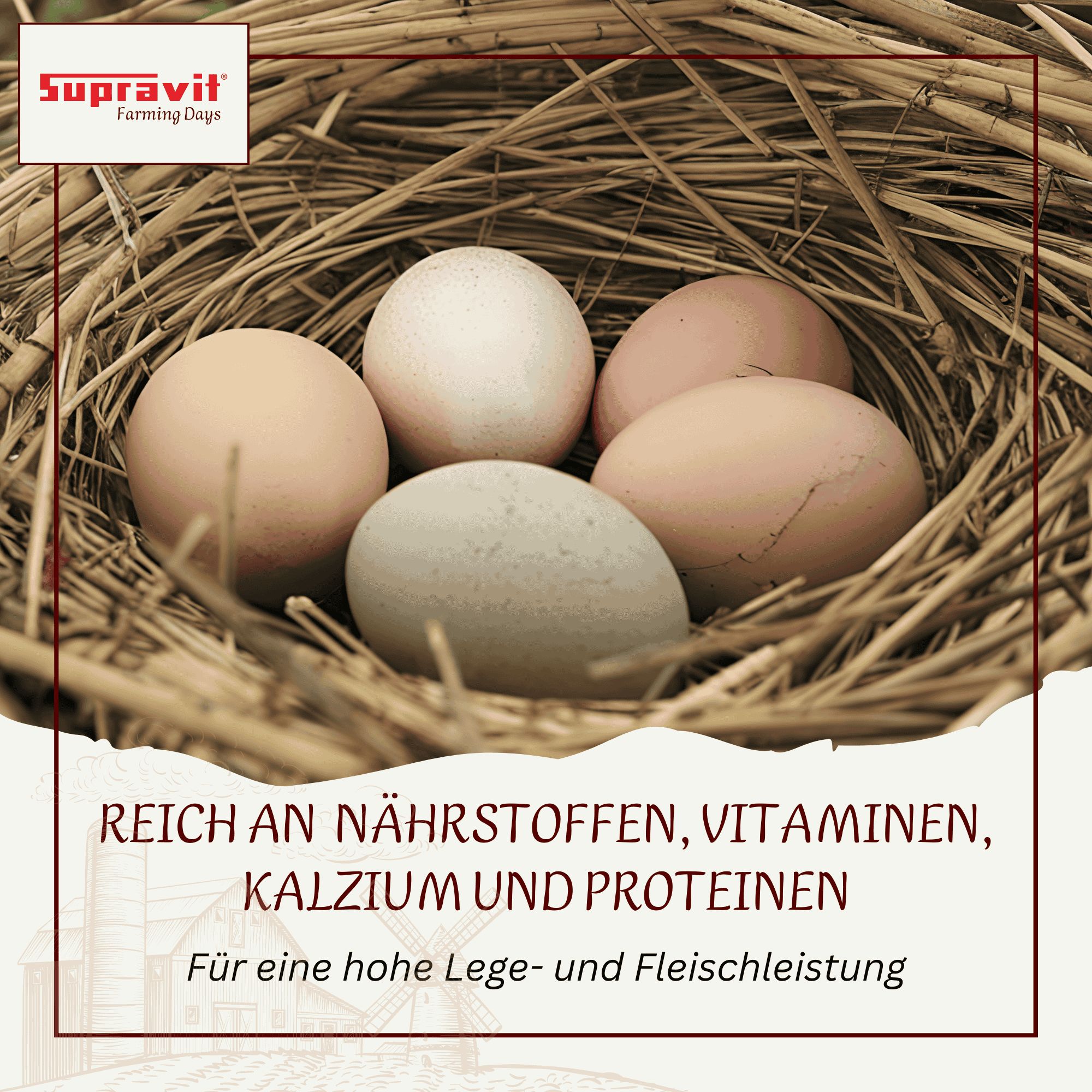 Supravit Legemehl für Hühner