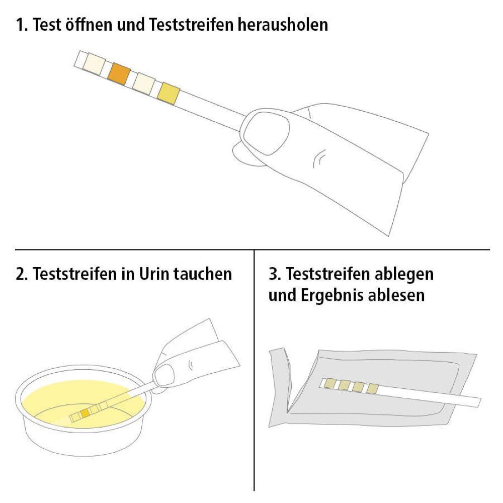 Illustration: Teststreifen in Urin eintauchen, Ergebnis ablesen. Schritte zur Anwendung.