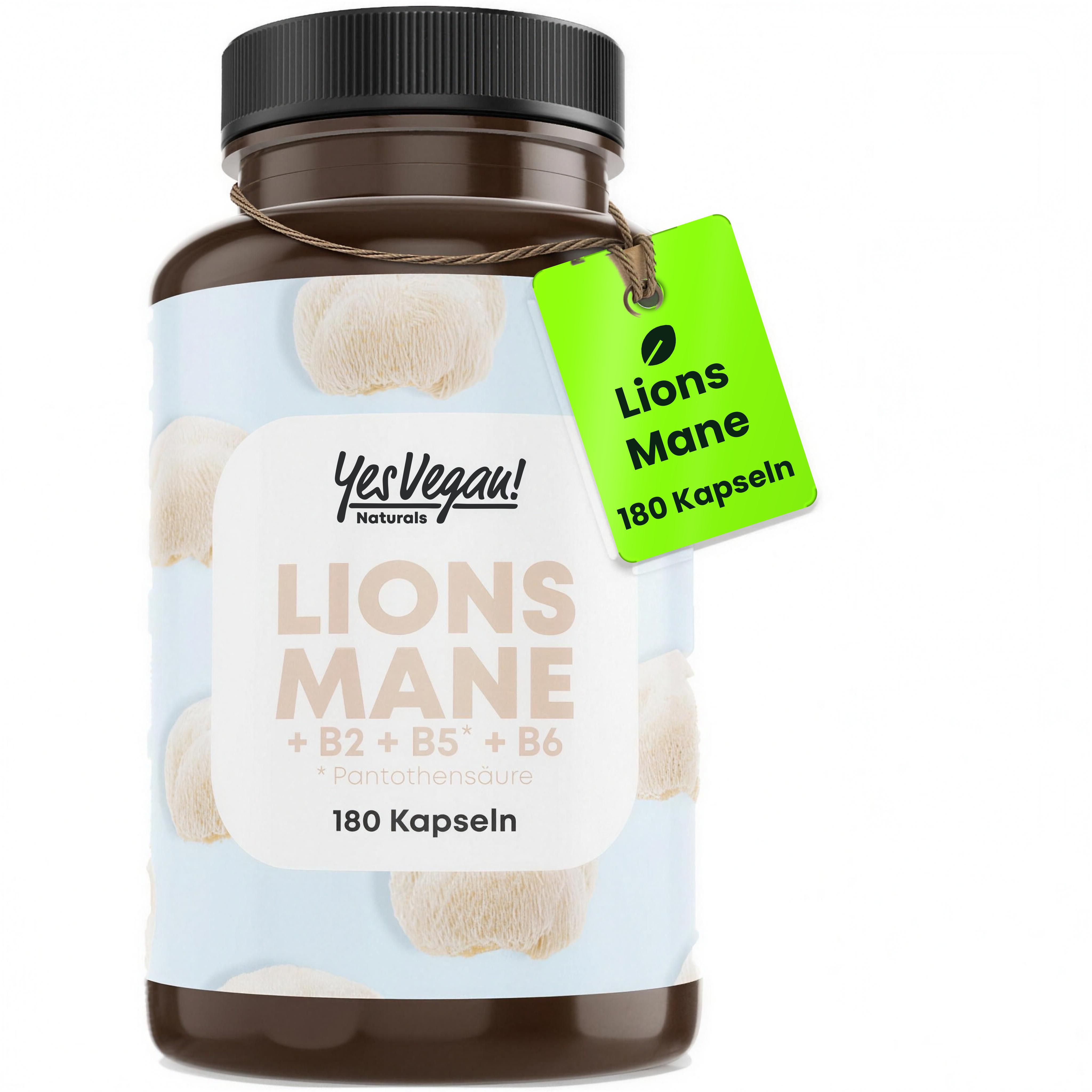 Lion's Mane extract 1500 mg (180 vegan capsules) pruikzwam met vitamine B2, B5 en B6 1x180 Capsules