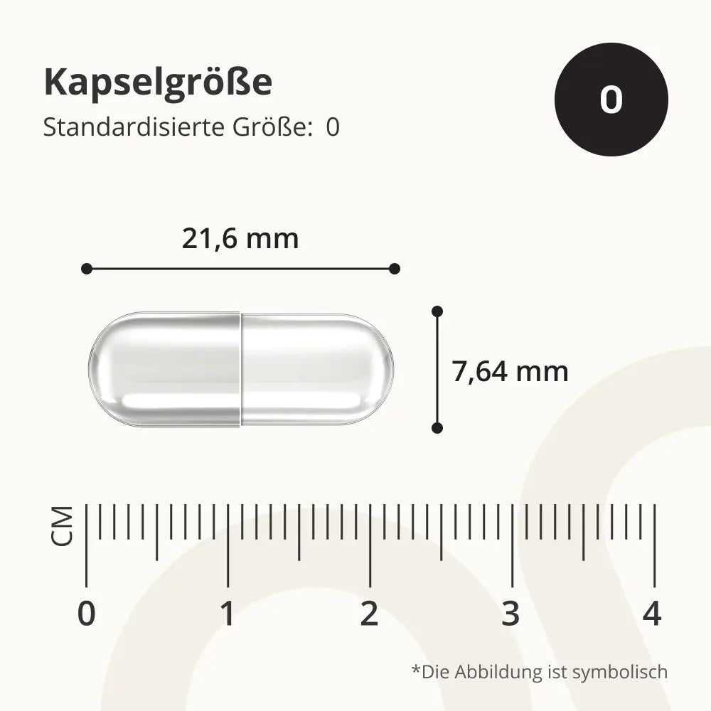 Kapsel mit Maßen: 21,6 mm x 7,64 mm. Skala in cm. Text: Kapselgröße, Standardisierte Größe: 0.