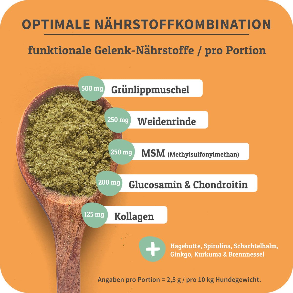 Holzlöffel mit Gelenkpulver. Inhaltsstoffe: Grünlippmuschel, Weidenrinde, MSM, Glucosamin & Chondroitin, Kollagen. Text: Optimale Nährstoffkombination.