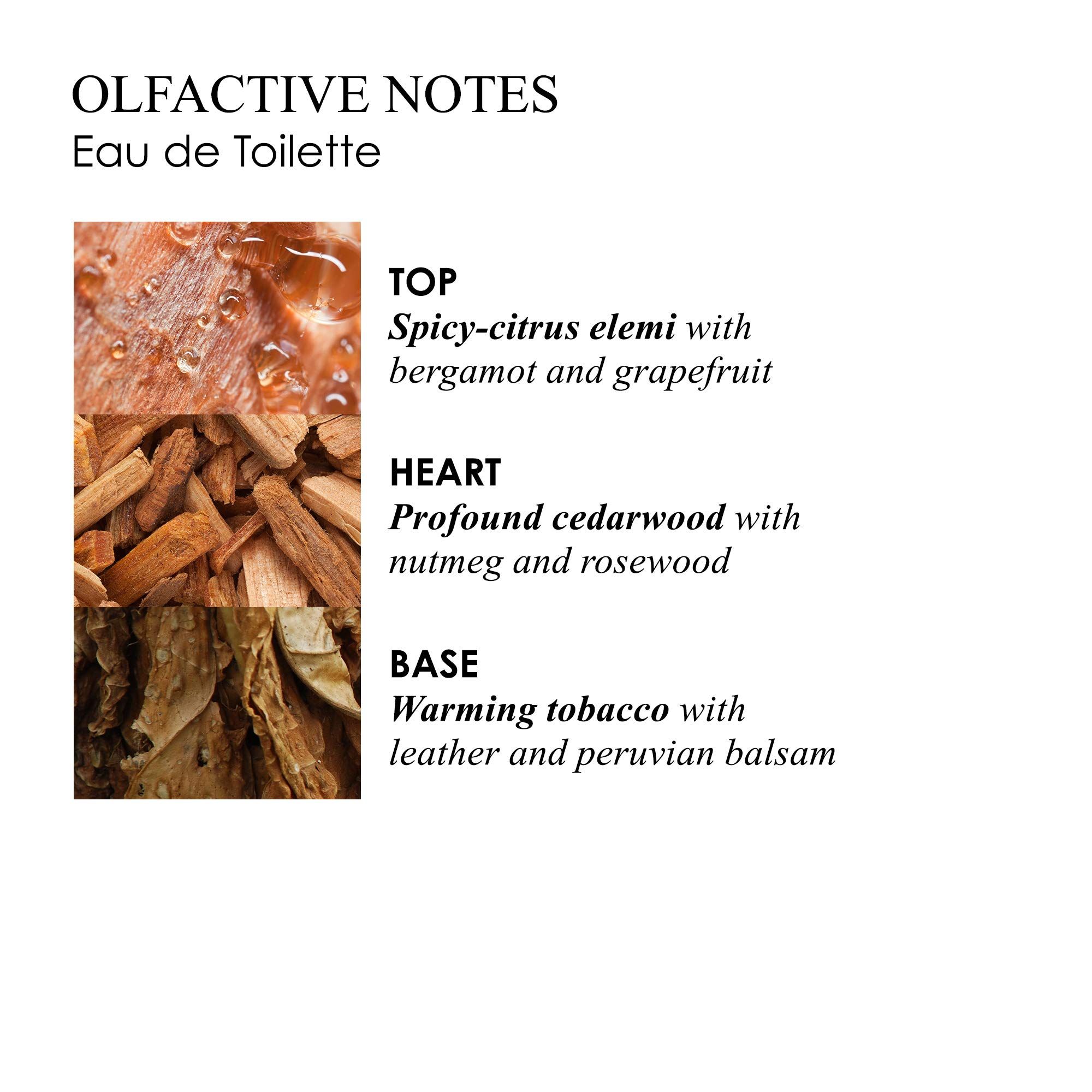 Text mit Duftnoten: Kopfnote: würzig-Zitrus, Herznote: Zedernholz, Basisnote: Tabak. Abgebildet sind Zutaten.