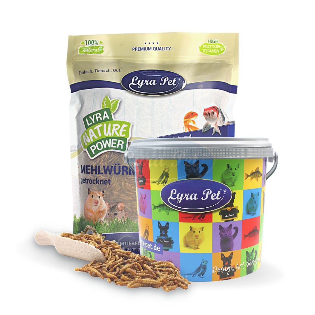 Lyra Pet® Mehlwürmer im Design Eimer