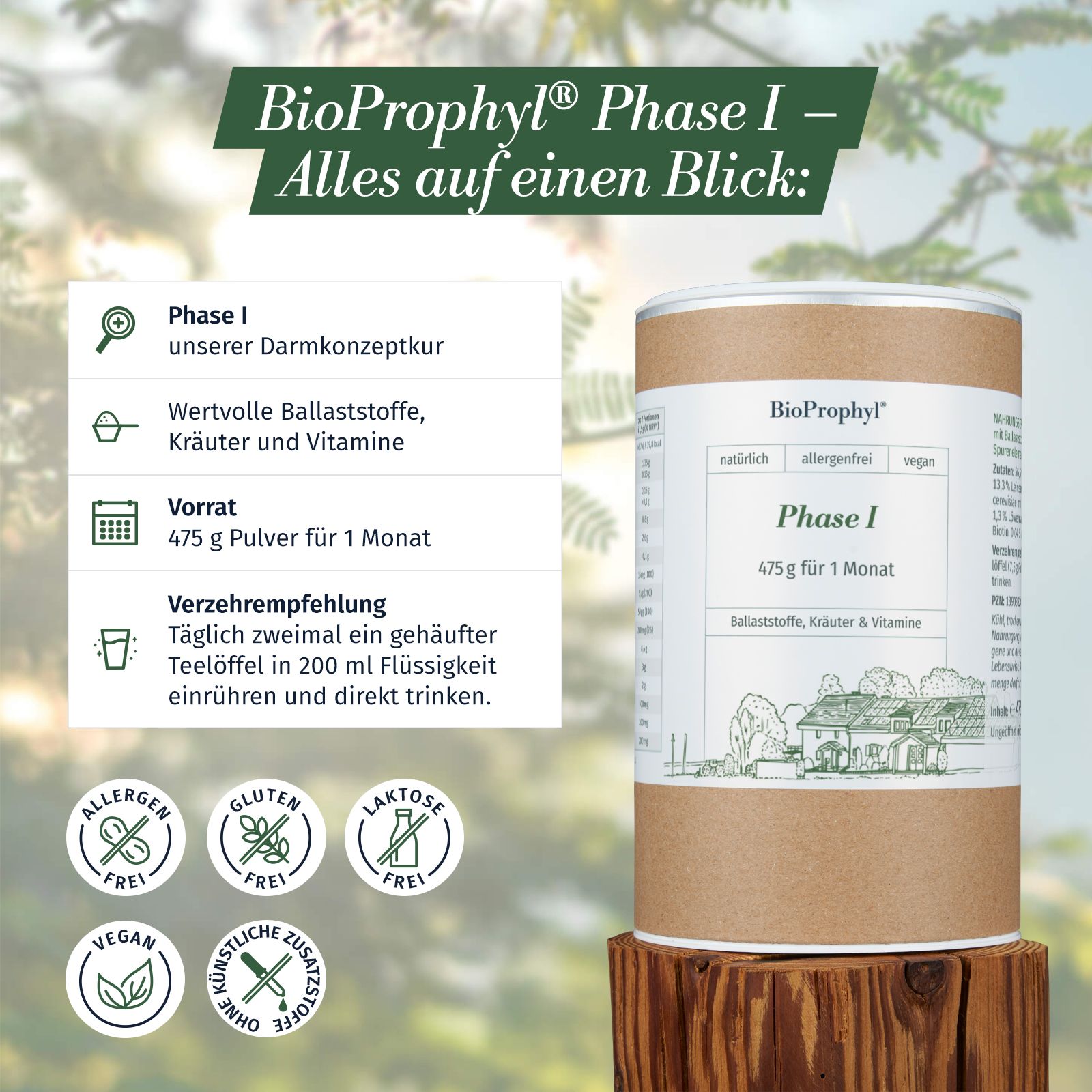 BioProphyl Darmsanierung