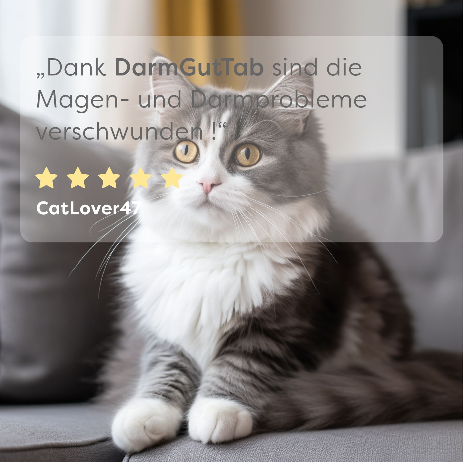 Katze auf Sofa. Zitat: „Dank DarmGutTab sind Magen- und Darmprobleme verschwunden!“ Sterne-Bewertung.