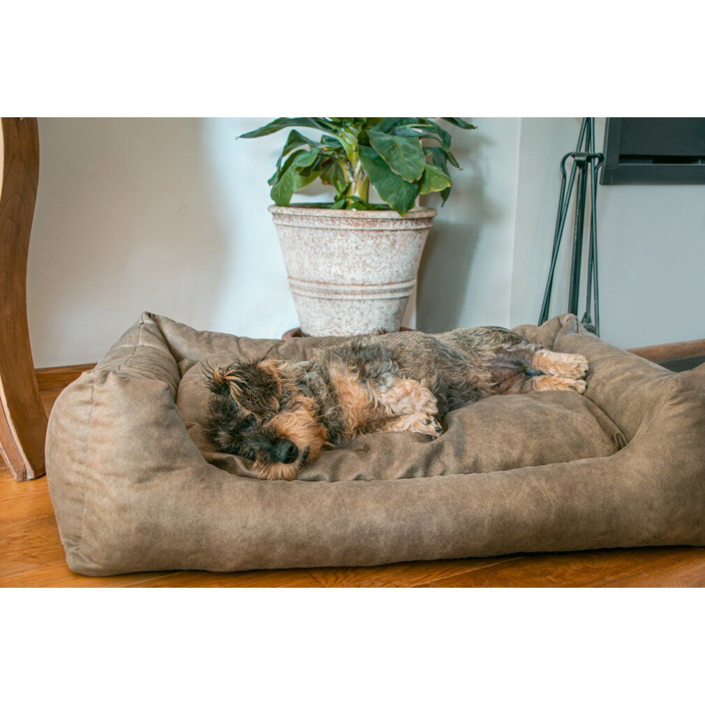 Hundekorb, taupe, mit schlafendem Hund. Rechteckige Form, erhöhte Seiten. Hund liegt im Korb. Pflanze im Hintergrund.