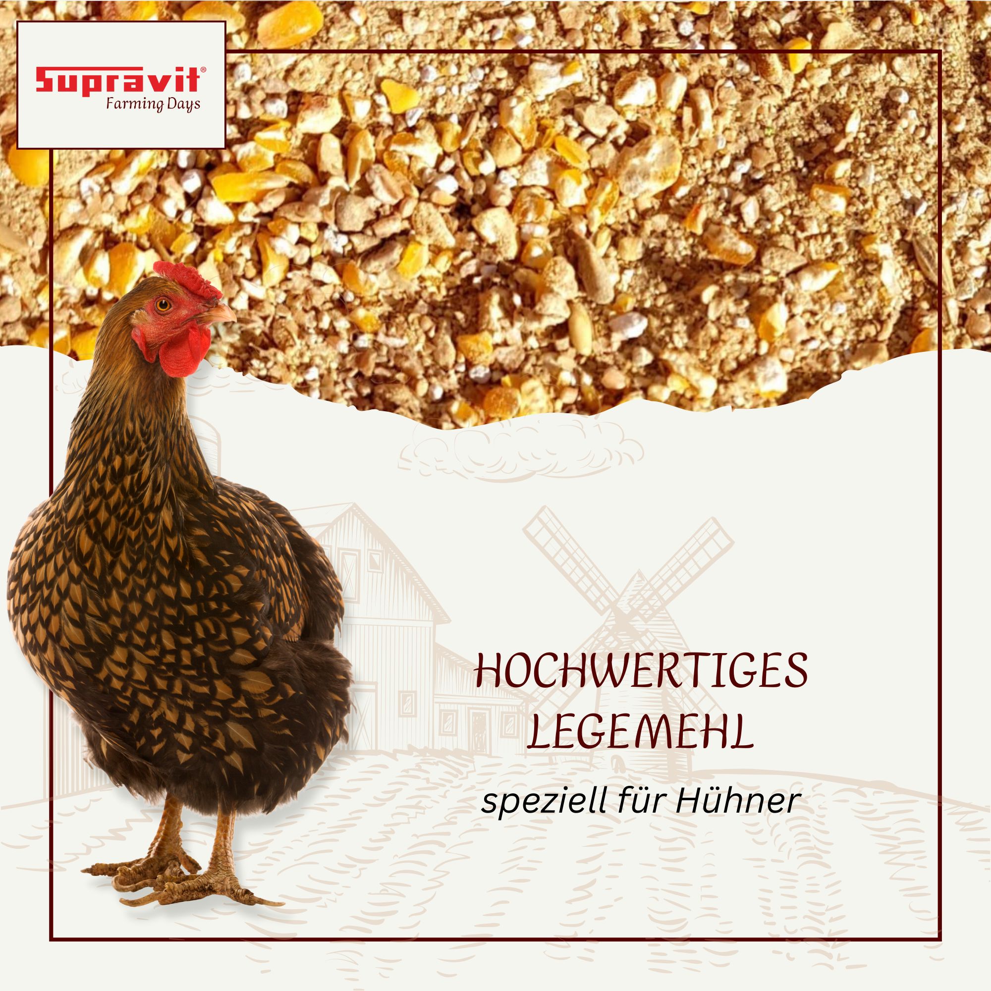Huhn vor Futter. Text: Hochwertiges Legemehl speziell für Hühner. Logo: Supravit.