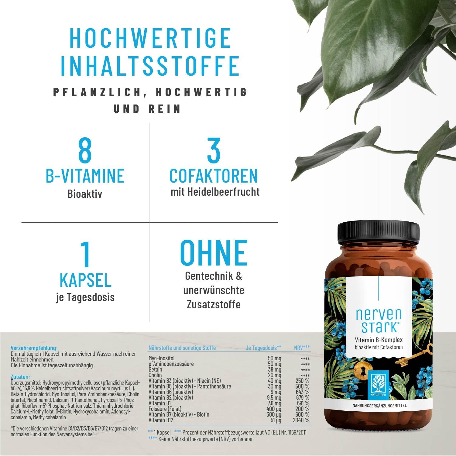 Produktinformationen mit 8 B-Vitaminen, 3 Kofaktoren und "Ohne" Zusätze. Braune Flasche im Hintergrund.