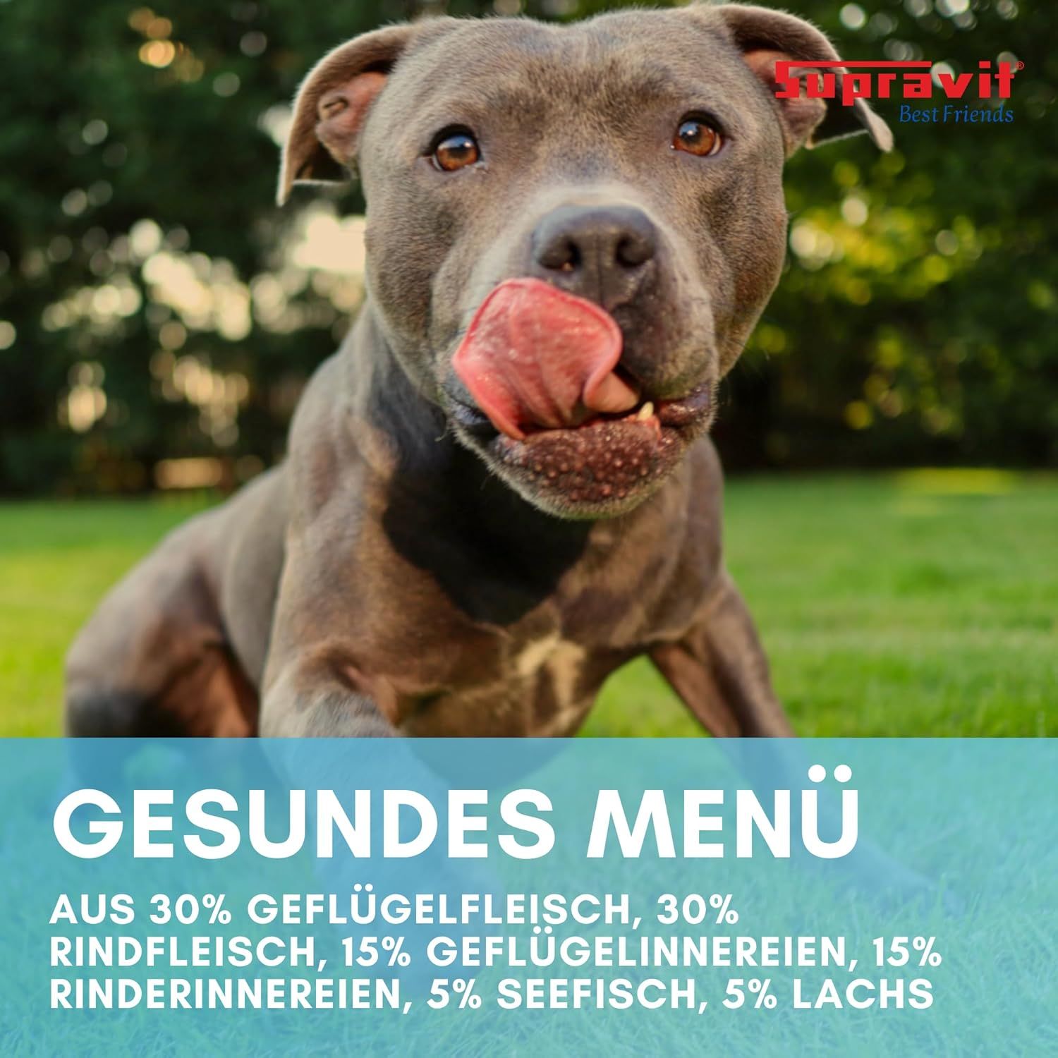 Supravit Hundenassfutter Dosenfutter für Hunde