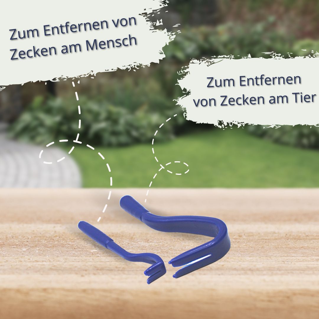 Zwei blaue Zeckenzangen in verschiedenen Größen, für Mensch und Tier.