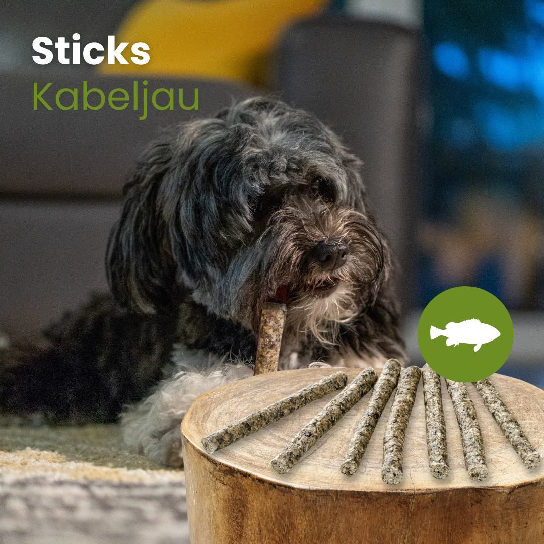 Hundefutter: Kabeljau-Sticks, Länge 13-18 cm, Gewicht 18-25 g pro Stück.