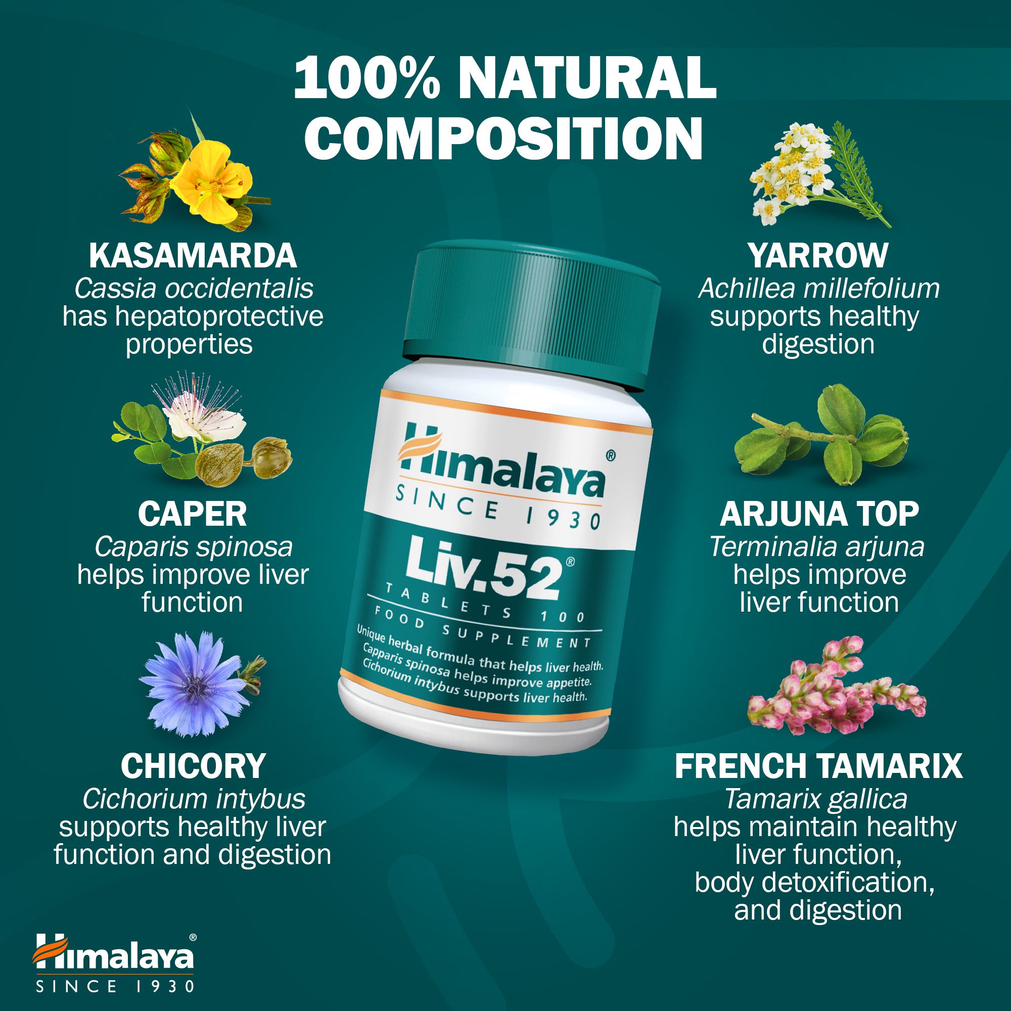 Himalaya Liv.52 Tabletten-Dose. Grün-weiße Flasche mit gelbem Etikett. Text: Liv.52, Tabletten, 100. Kräuter-Illustrationen und Namen.