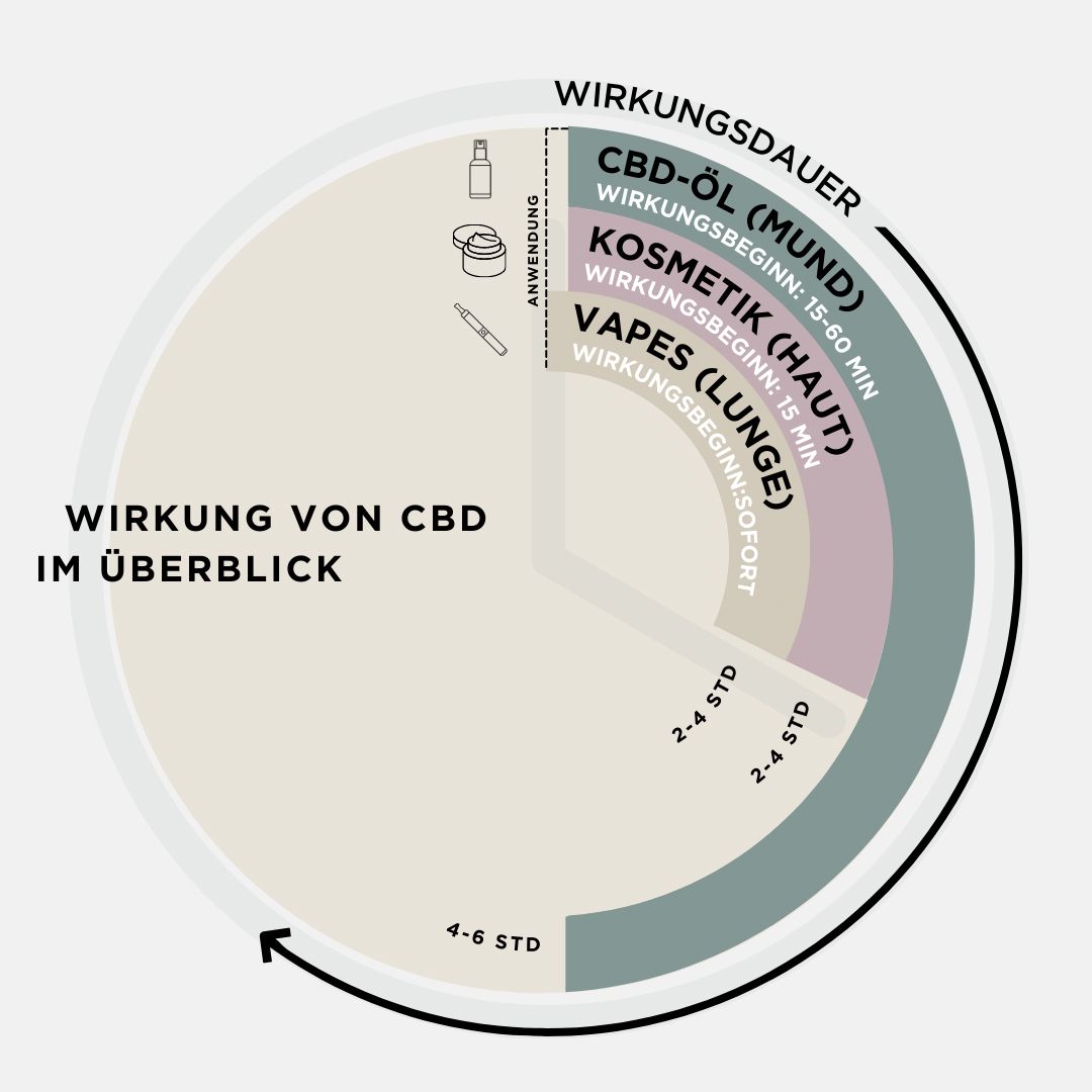 HERBLIZ Klassisch Vollspektrum CBD Öl 30%