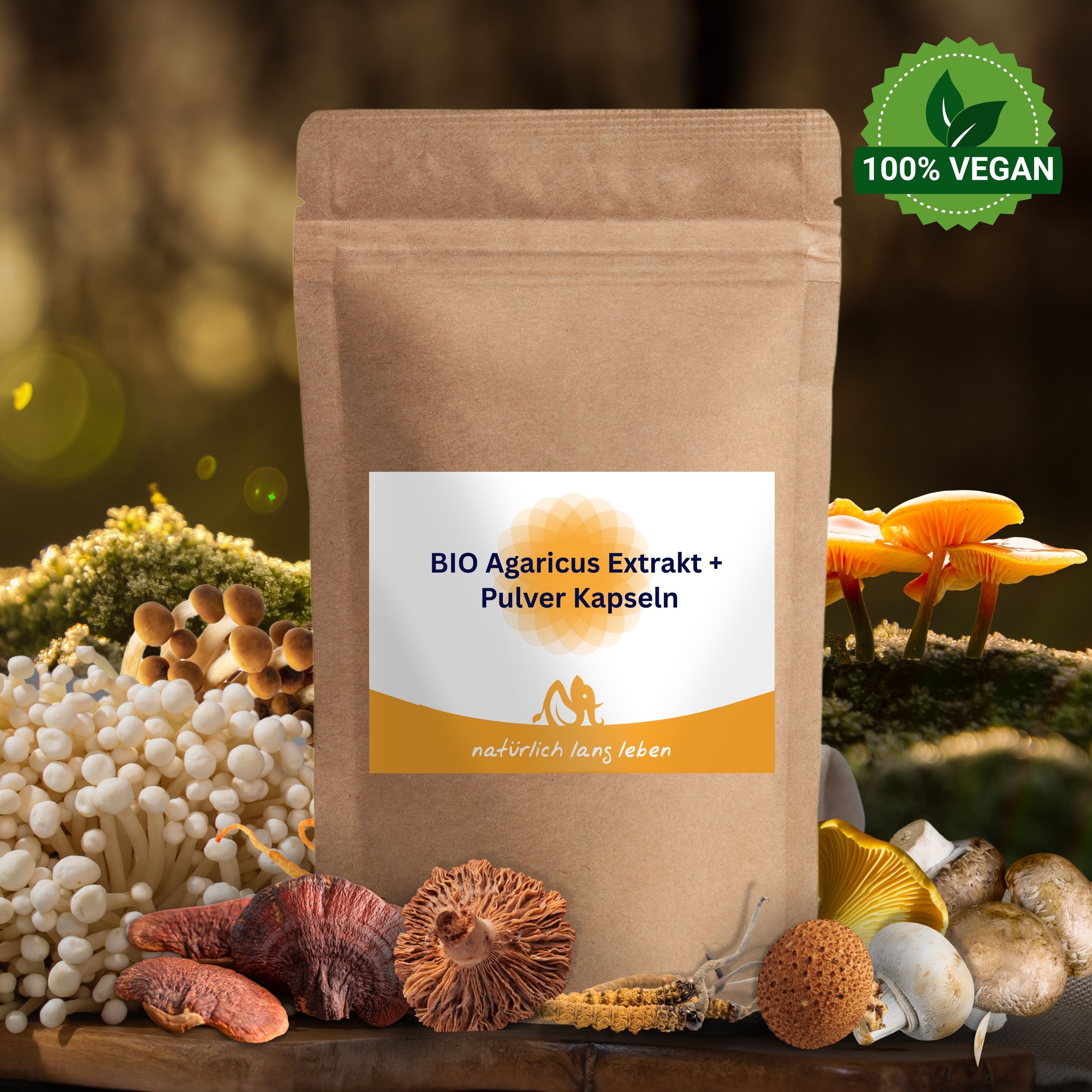 BIO Agaricus Extrakt + Pulver Kapseln 120 Stück
