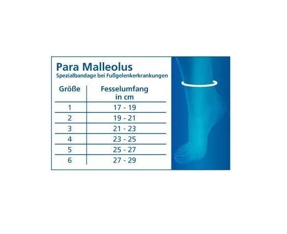 Schiebler Para Malleolus Sprunggelenkbandage 1 St