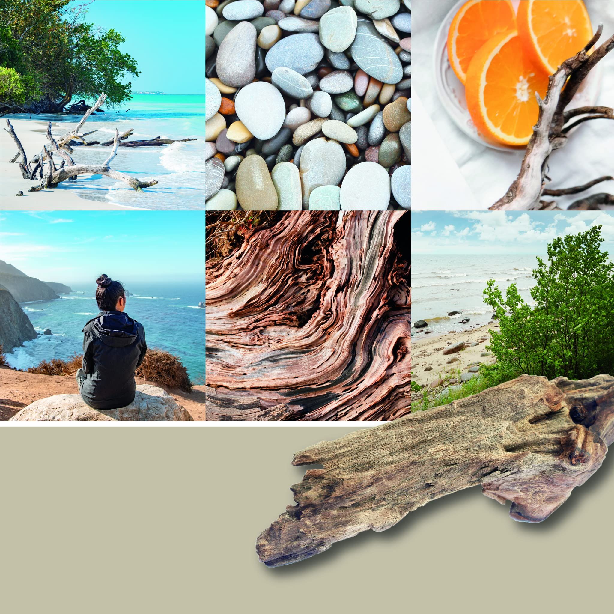Collage mit Strand, Steinen, Holz, Person, Orangen. Verschiedene Texturen und Farben.