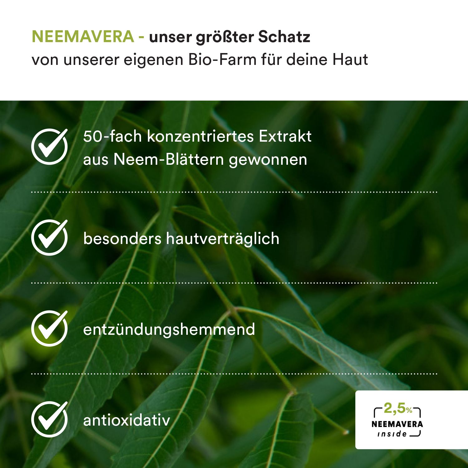 Text mit Aufschrift: NEEMAVERA - unser größter Schatz. Enthält Text und Symbole.