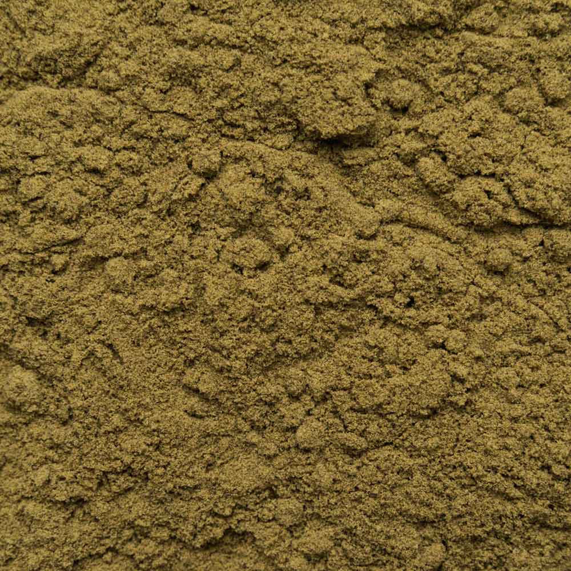 Biotiva Hanfprotein Pulver 50% Bio