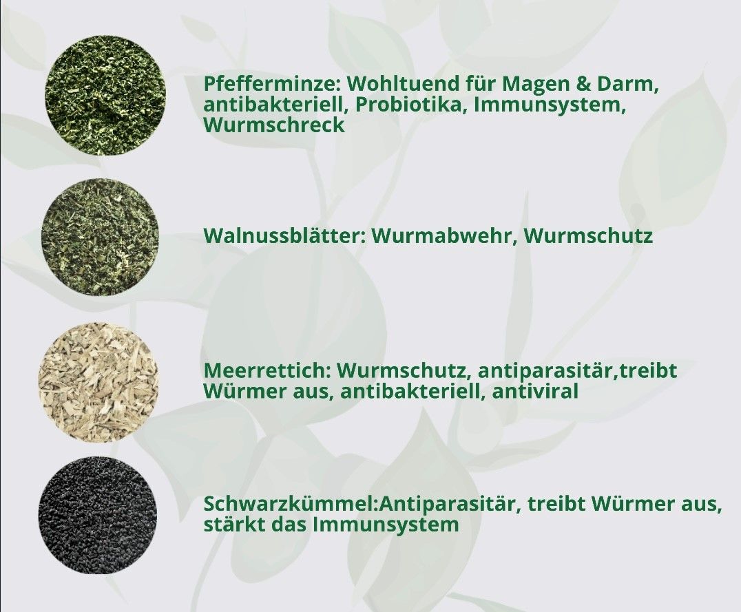 Hand aufs Pferd/Hund Wurm Kräuter Kribbelfrei