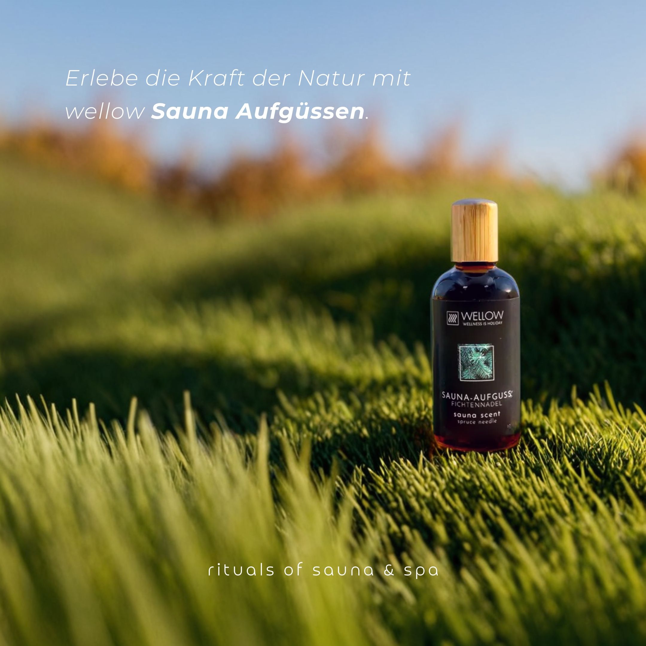 Wellow Sauna-Aufguss Zitronengras-Salbei