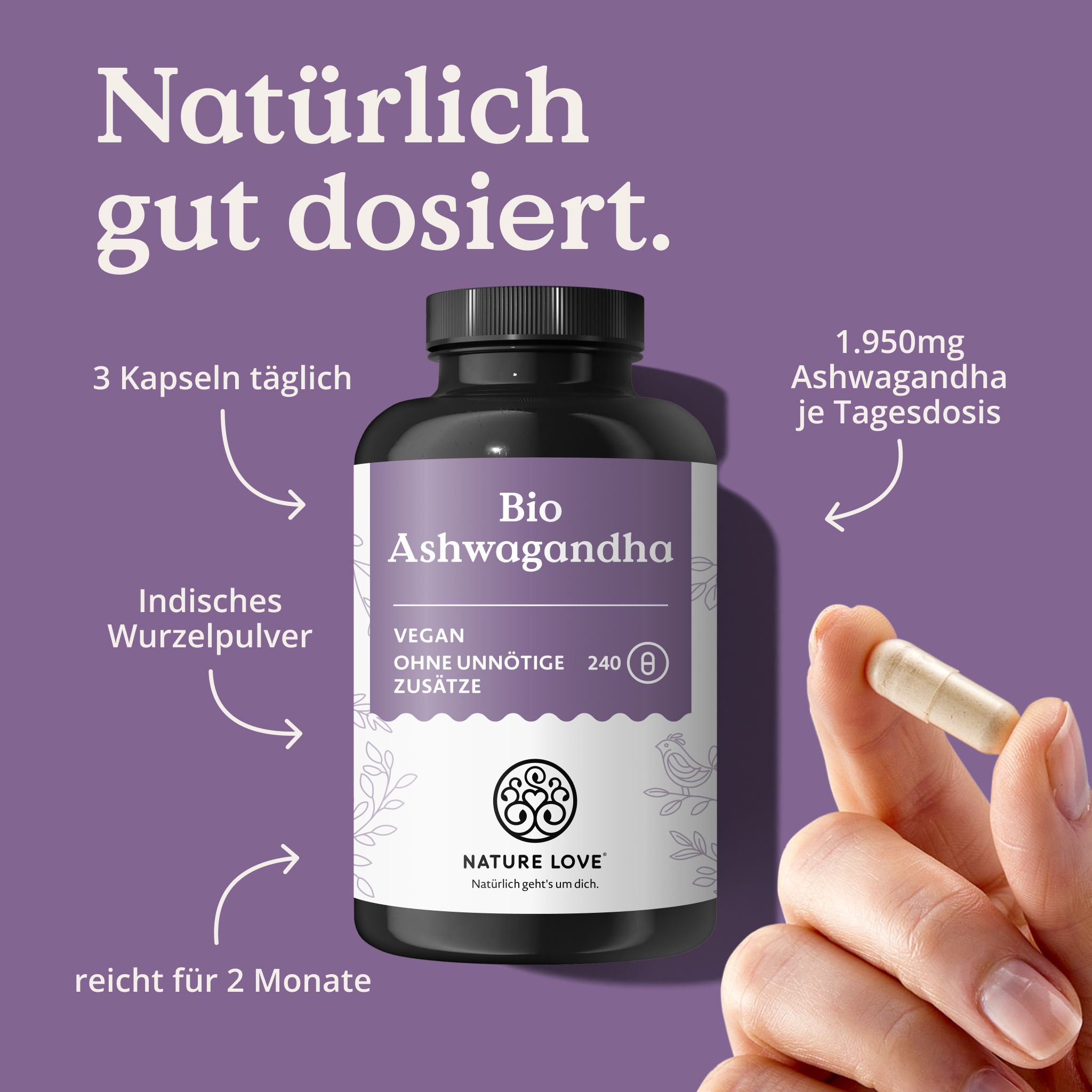 Flasche Bio Ashwagandha Kapseln, Hand hält eine Kapsel, 1.950mg pro Tagesdosis, Indisches Wurzelpulver.