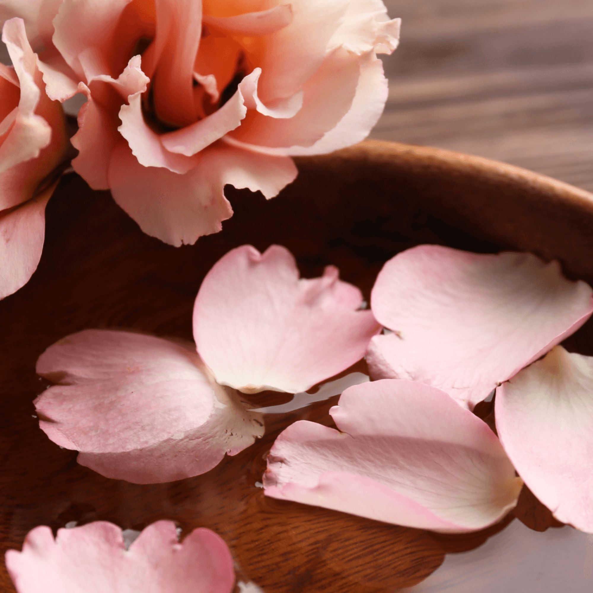 Öz Natur Rosenwasser