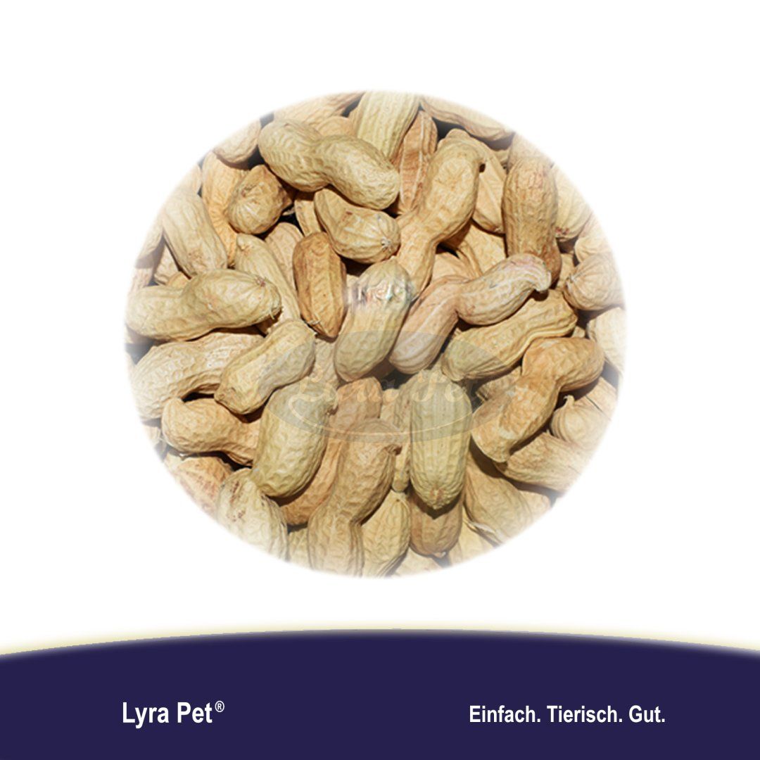 Erdnusskerne in Schoten, kreisförmig angeordnet. Lyra Pet® Logo und Text: Einfach. Tierisch. Gut.
