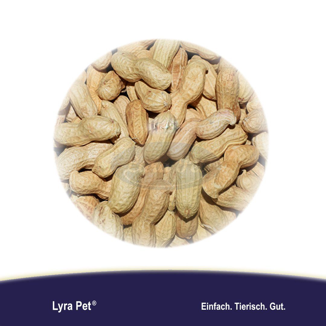 Lyra Pet® Erdnusskerne in Schoten 10 kg Futter