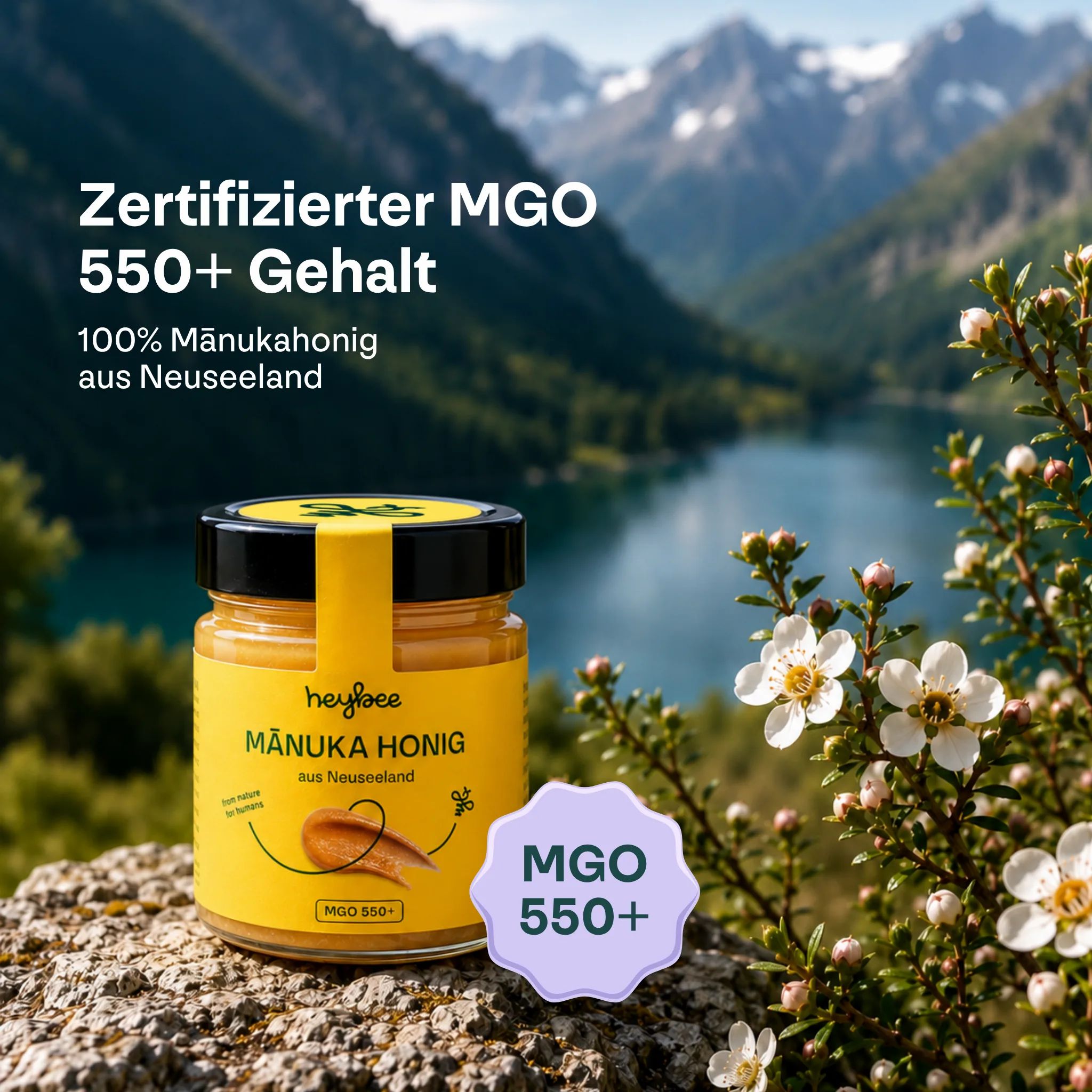 heybee Manuka Honig MGO 550+ Angebot