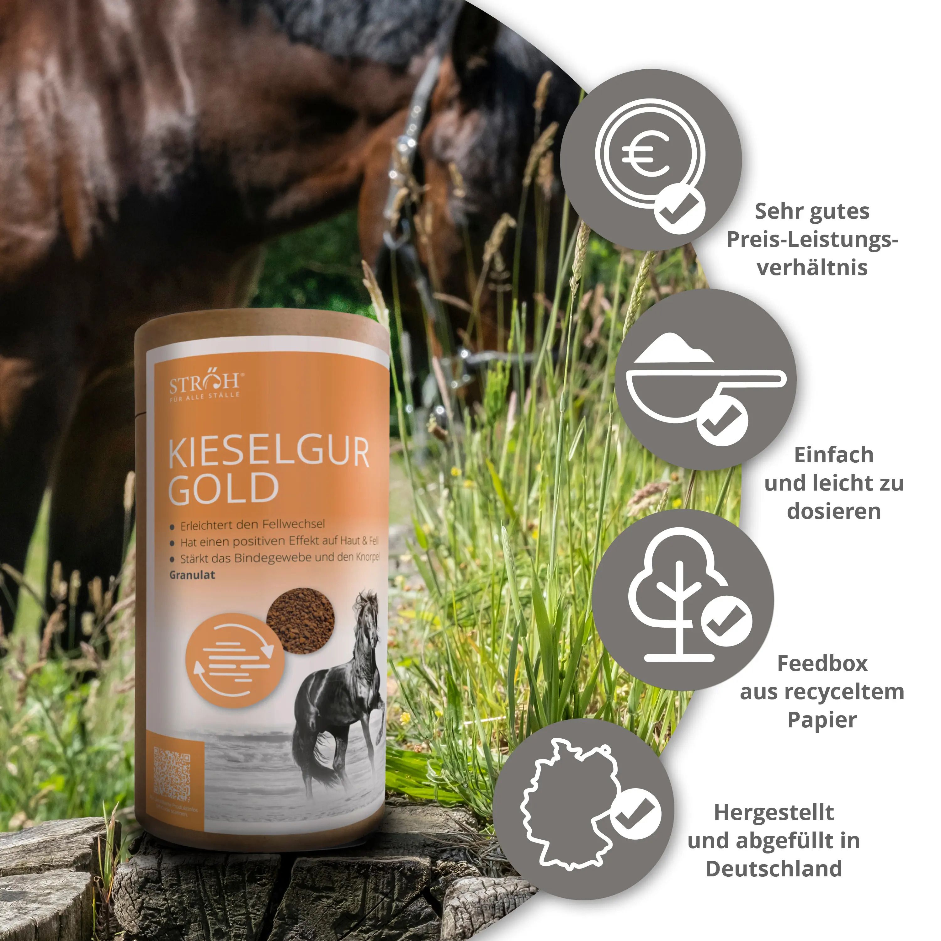 Kieselgur Gold Dose. Text: Einfach und leicht zu dosieren. Feedbox aus recyceltem Papier. Hergestellt und abgefüllt in Deutschland. Text: Sehr gutes Preis-Leistungs-Verhältnis.