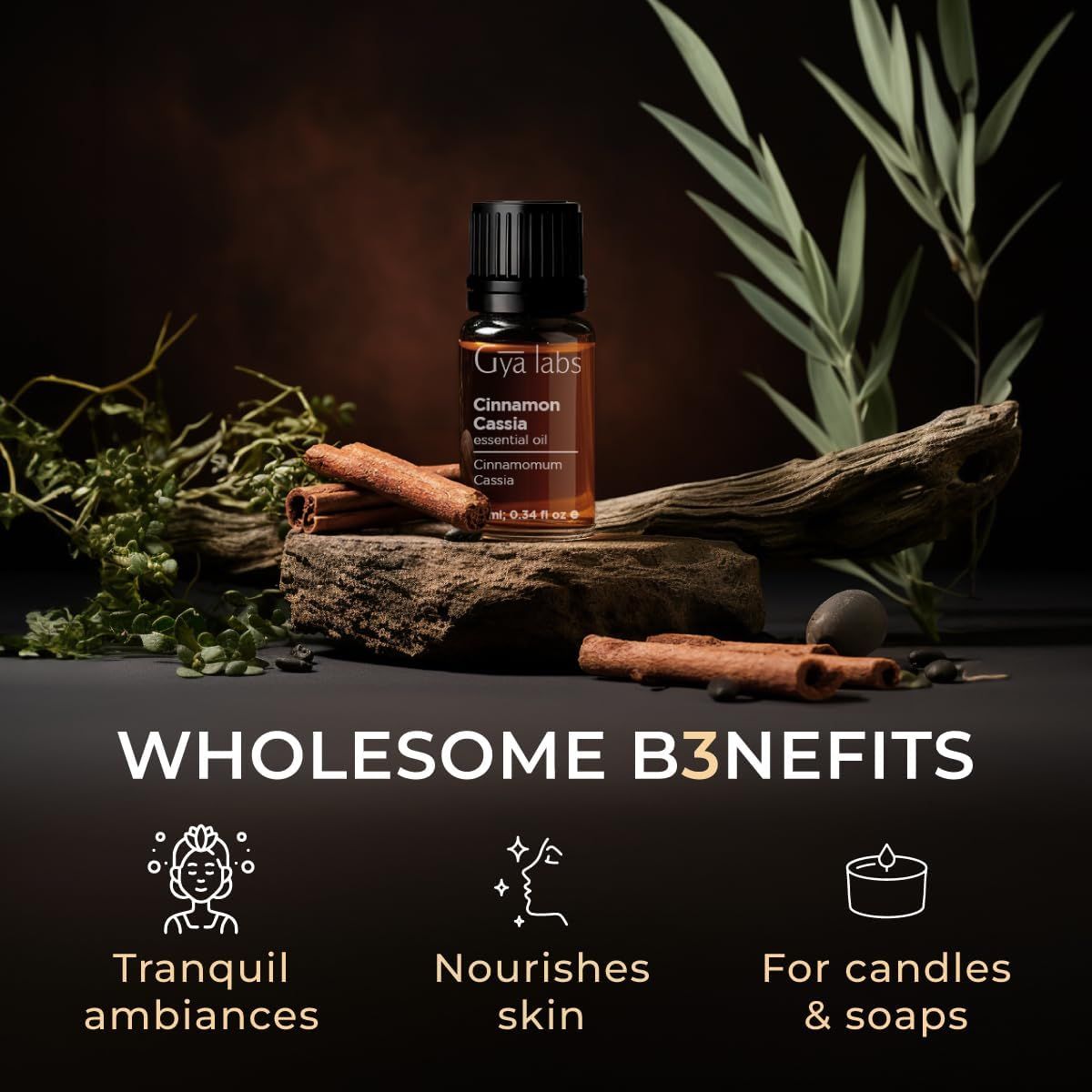 Braune Glasflasche mit schwarzem Deckel. Zimtstangen. Text: WHOLESOME BENEFITS. Logos: ruhige Atmosphäre, Hautpflege, Kerzen.