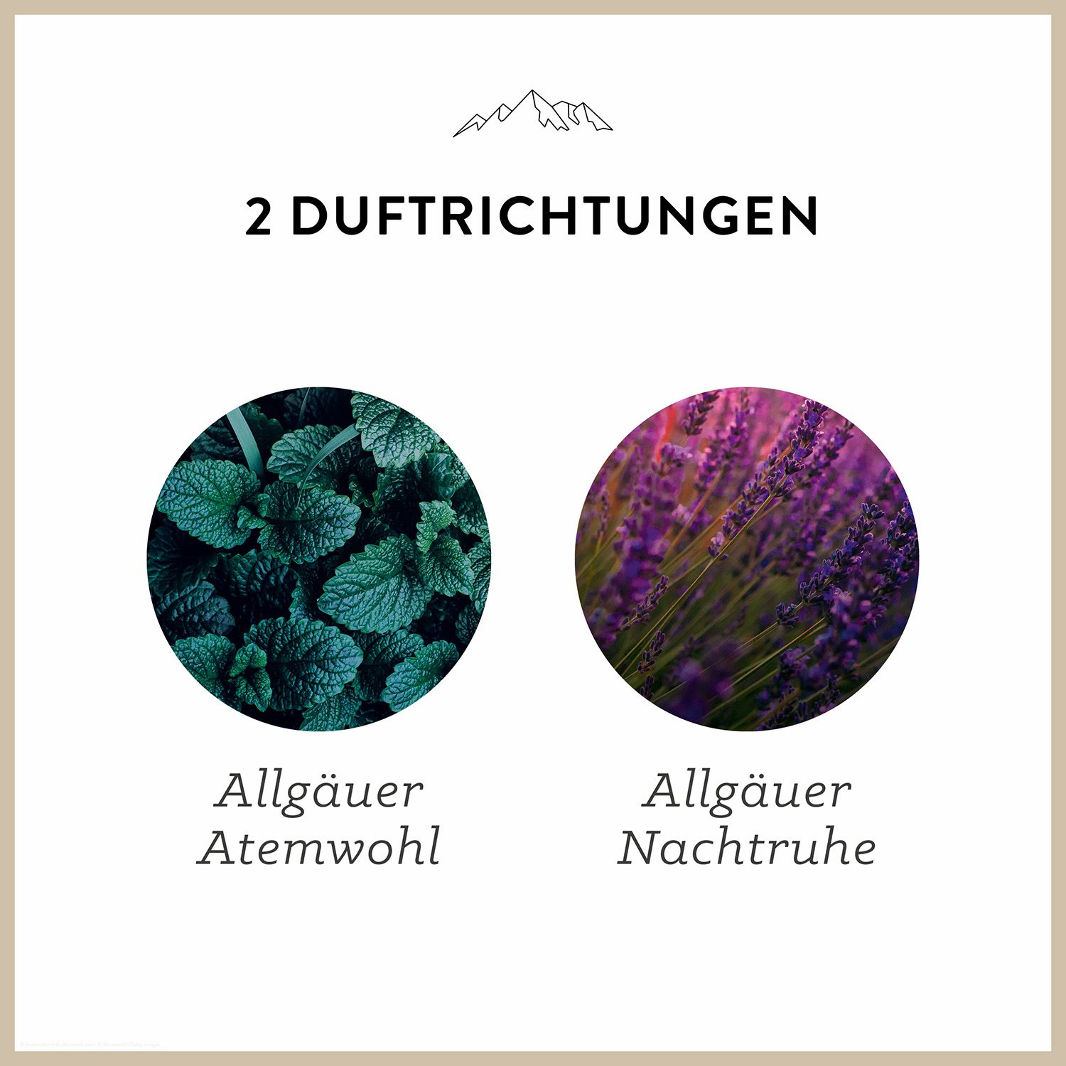 AllgäuQuelle Bio Badeöl-Set mit ätherische-Öle, BIO-Badezusatz, Bade-Essenz