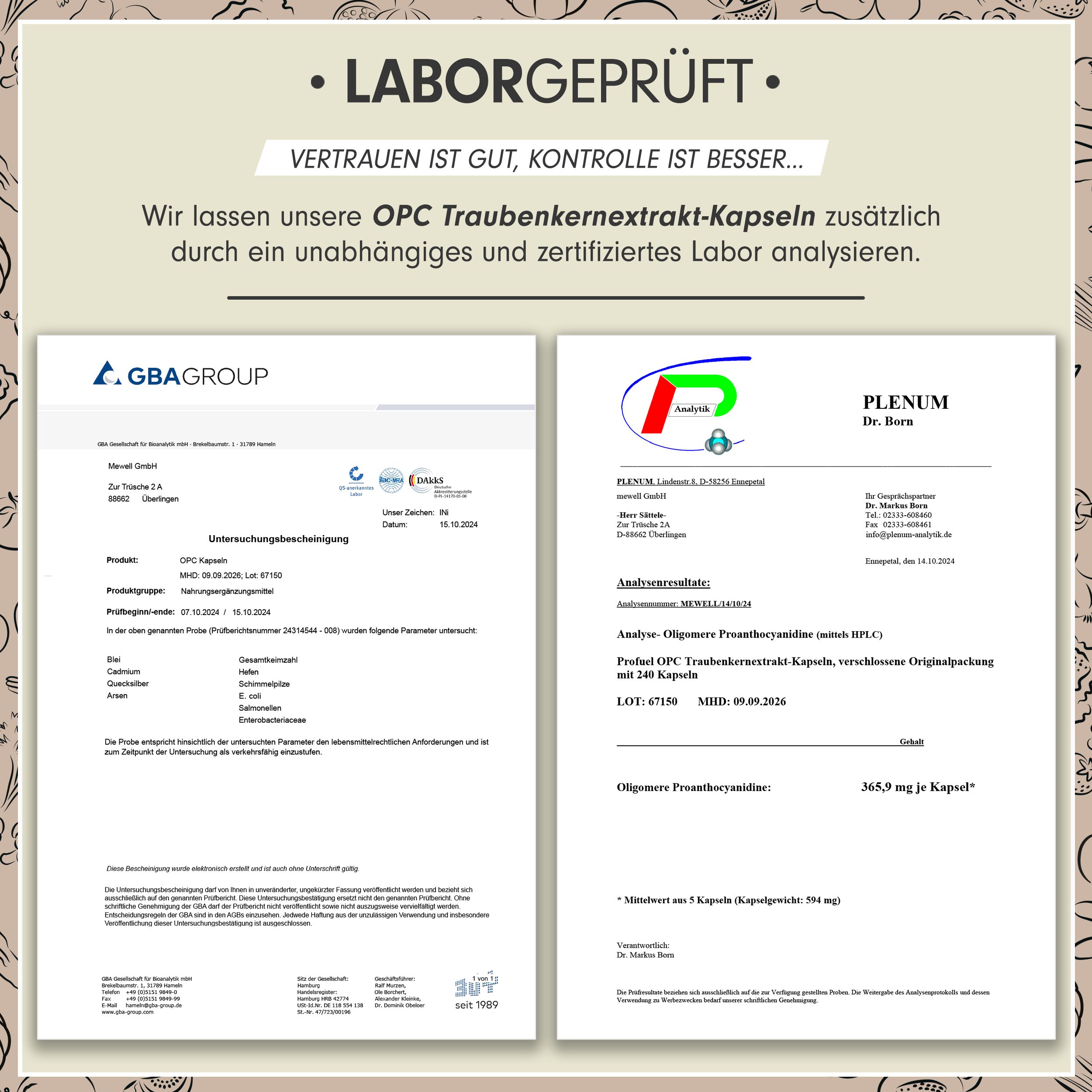 ProFuel - OPC Traubenkernextrakt-Kapseln - 500 mg Traubenkernextrakt je Kapsel - 720 Kapseln