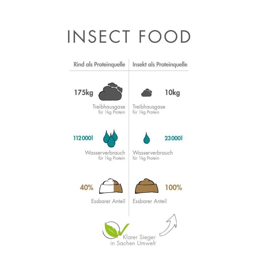 Infografik: Vergleich Rind vs. Insekten als Proteinquelle. Darstellung von Treibhausgasen, Wasserverbrauch und essbarem Anteil.