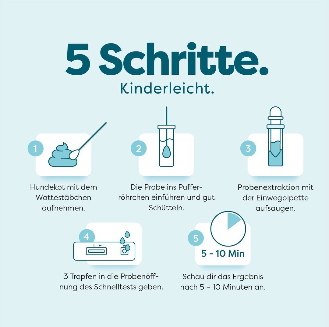 Fünf Schritte zur Anwendung des Giardien-Tests. Abbildung der Schritte: Probenentnahme, Einführung in Röhrchen, Extraktion, Test, Ergebnis nach 5-10 Minuten.