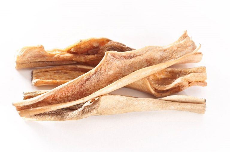 mascota vital - Pferde-Haut