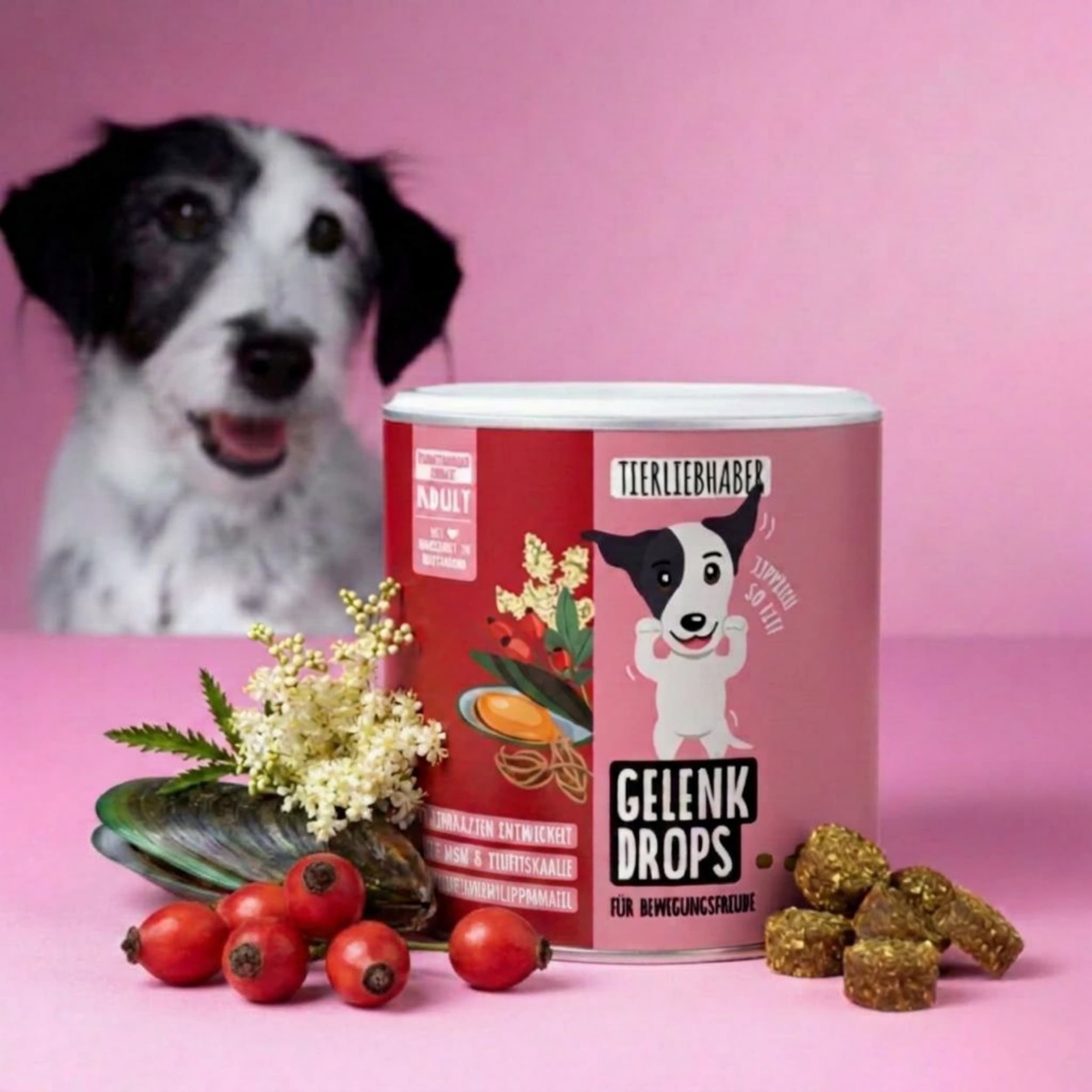 Dose Tierliebhaber Gelenk Drops neben einem Hund und Zutaten.