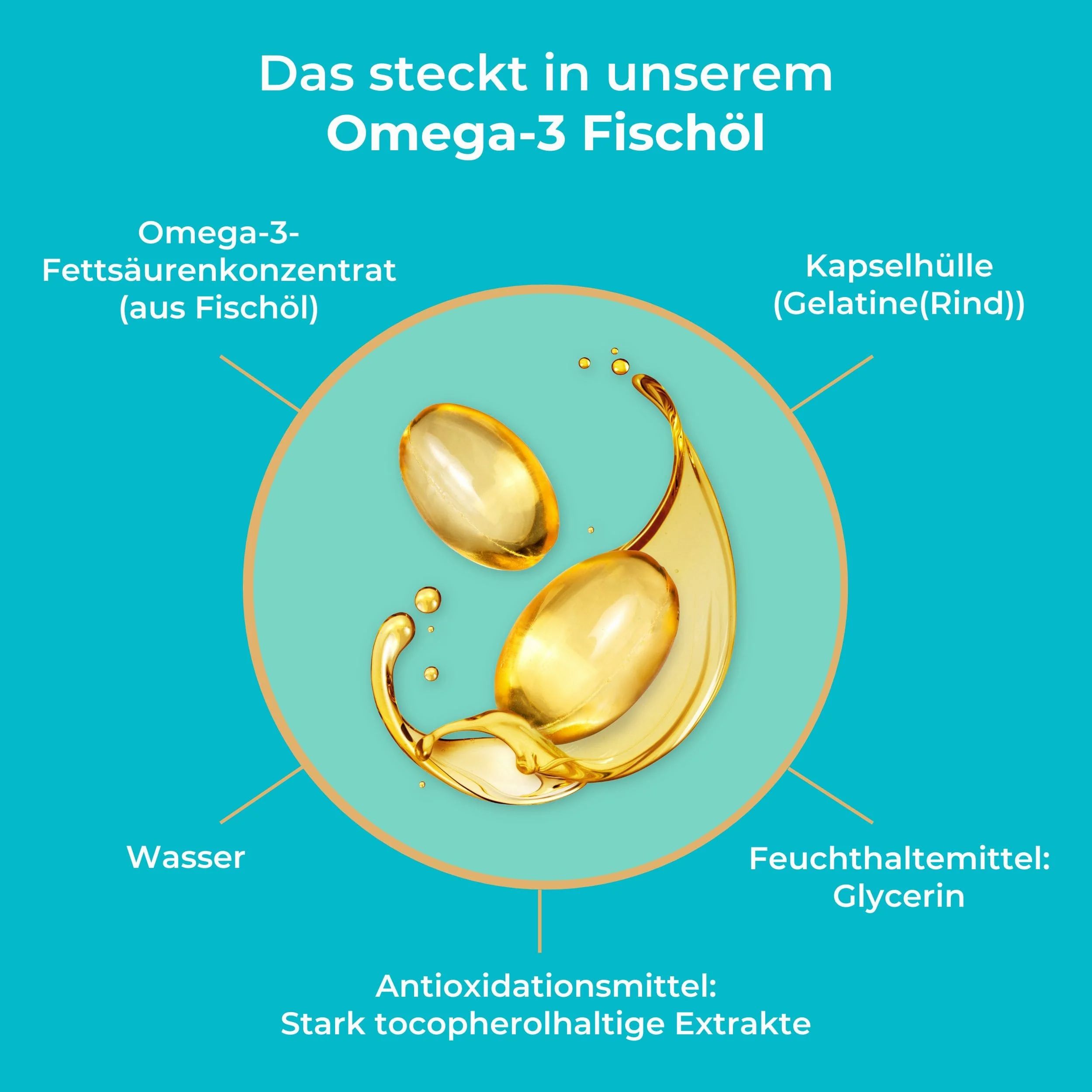 Infografik mit Omega-3-Fischöl-Konzentrat, Gelatinekapselhülle, Glycerin, Wasser und Antioxidationsmitteln.