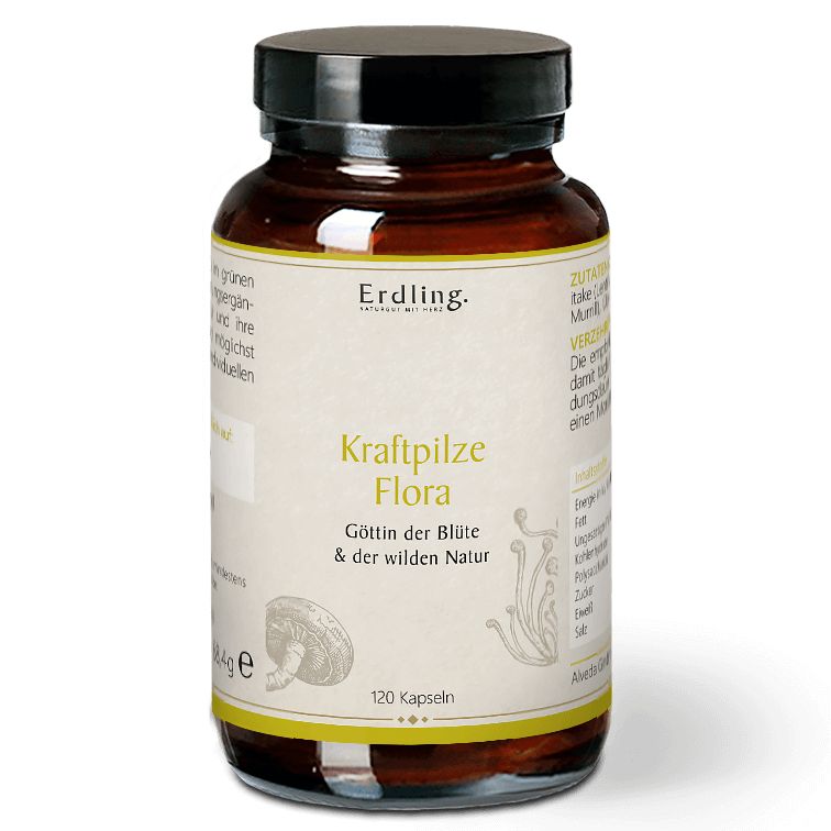 Erdling BIO Kraftpilze Flora – Vitalpilz Synergetikum