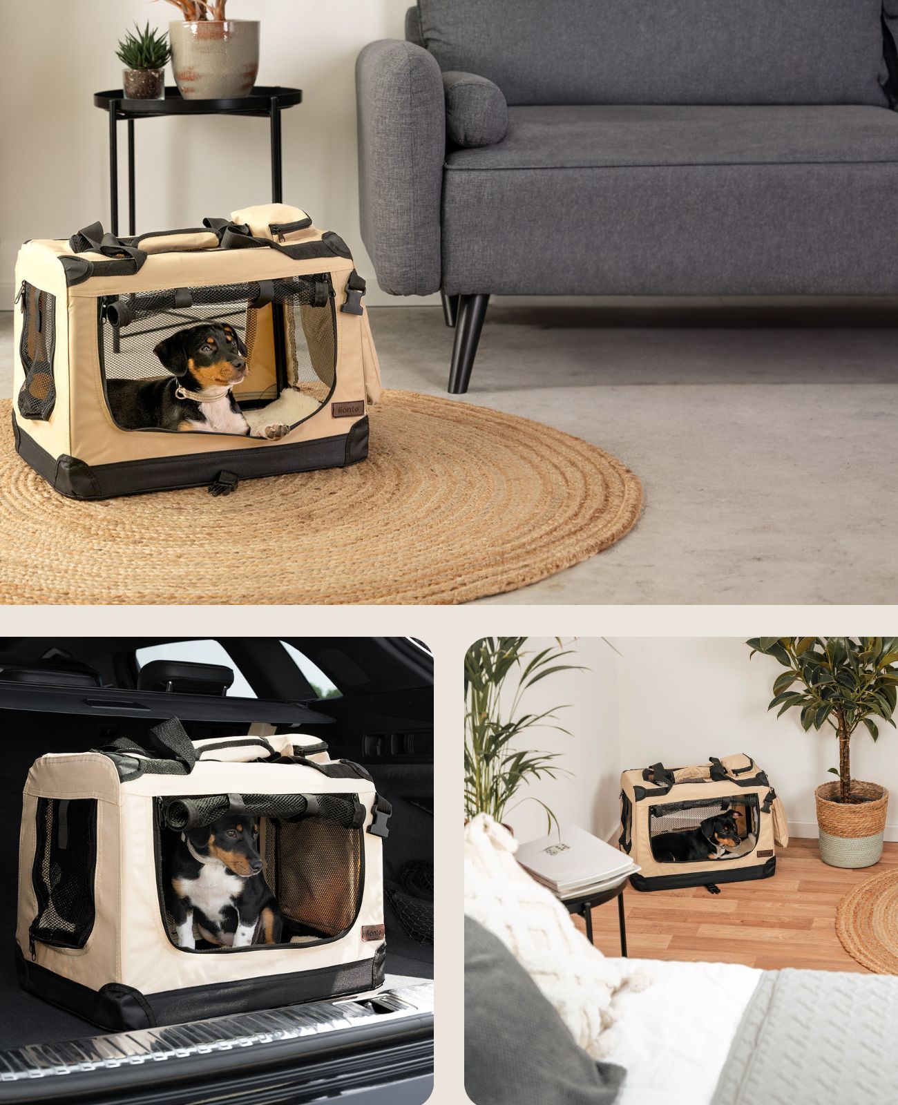lionto faltbare Transportbox für Hunde und Katzen