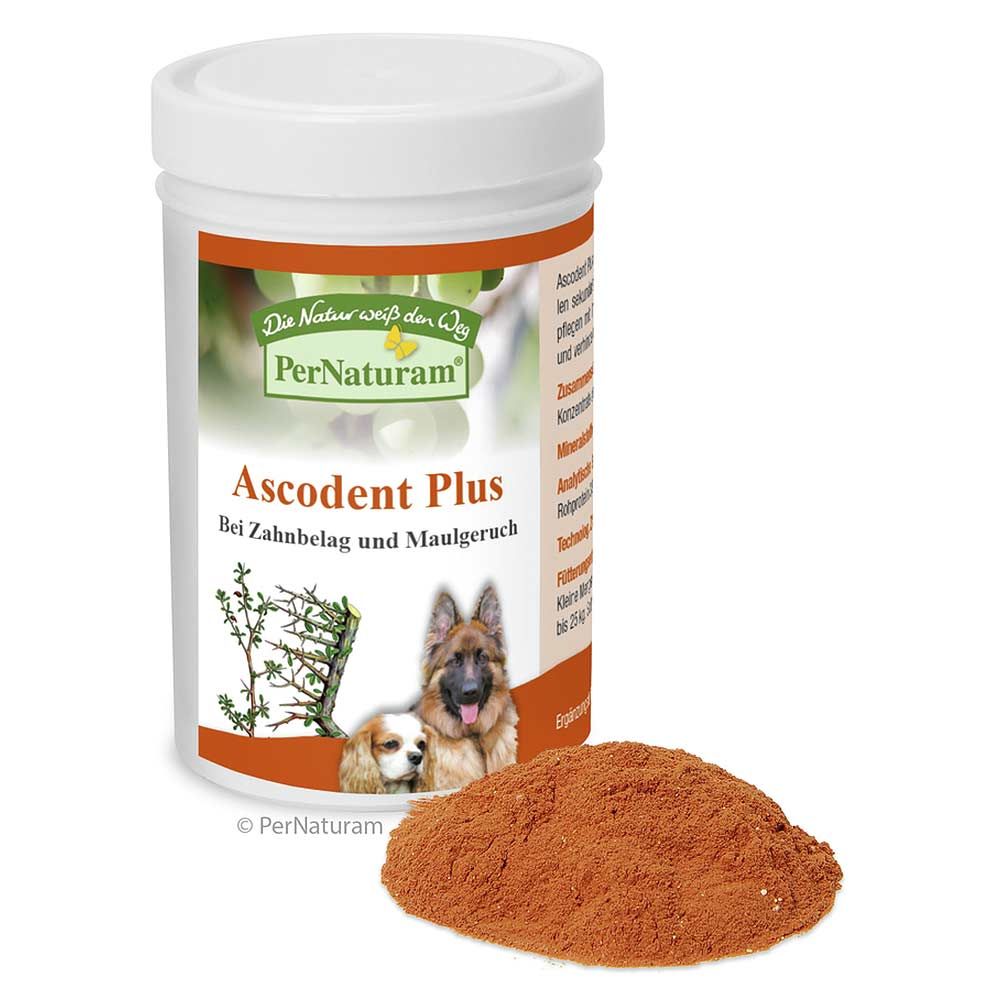 PerNaturam Ascodent Plus